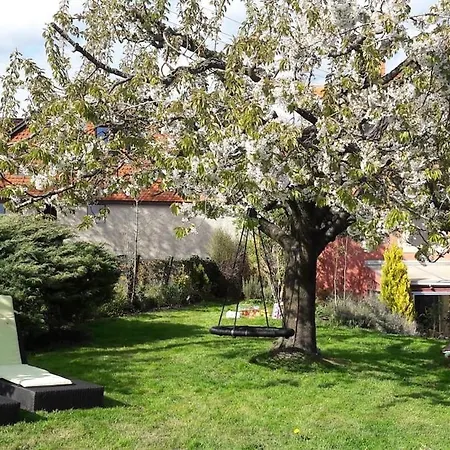Villa Maison Centenaire Avec Jardin Proche Lausanne