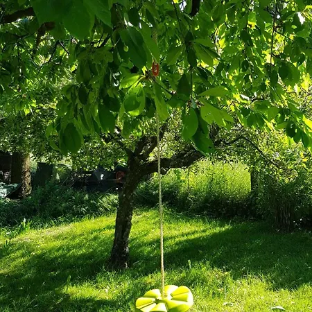 Maison Centenaire Avec Jardin Proche Lausanne